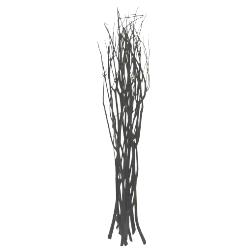 Branche noire - L 120 cm