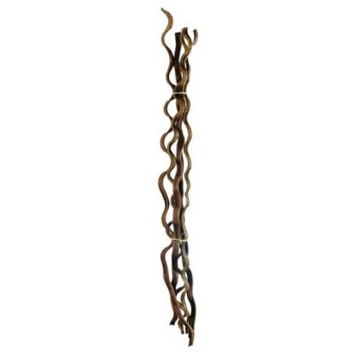 Branche noisetier tortueux - L 100 cm