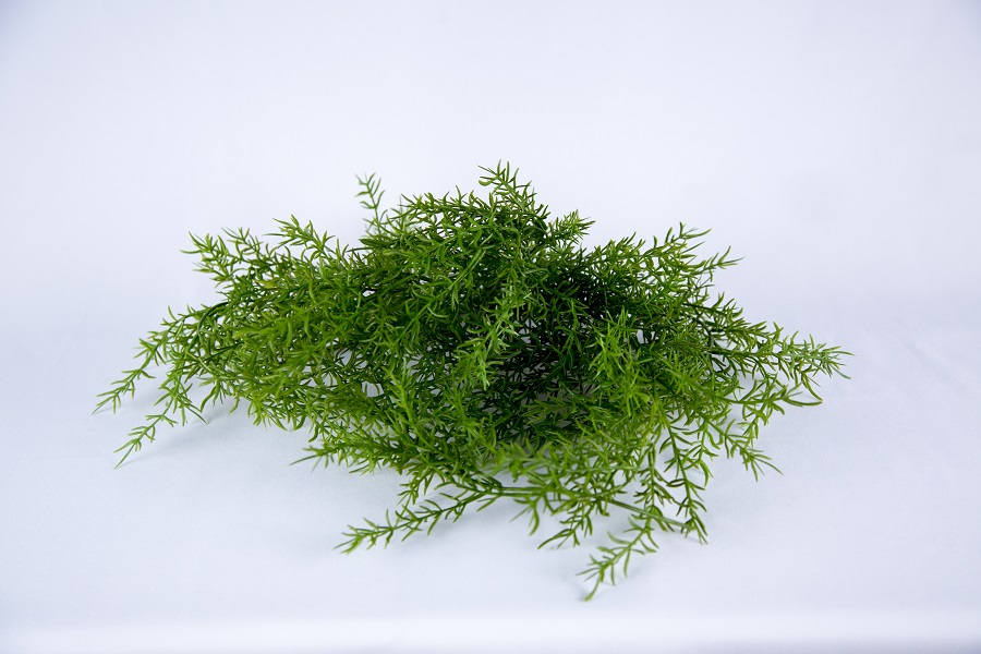 Algue verte artificielle - L 10 cm