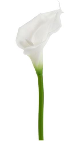 Cala blanc artificiel - L 25 cm