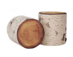 Tronc de bouleau - 20 cm