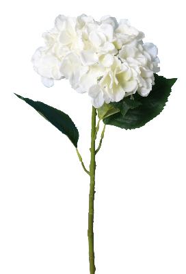 Hortensia blanc artificiel - L 20 cm