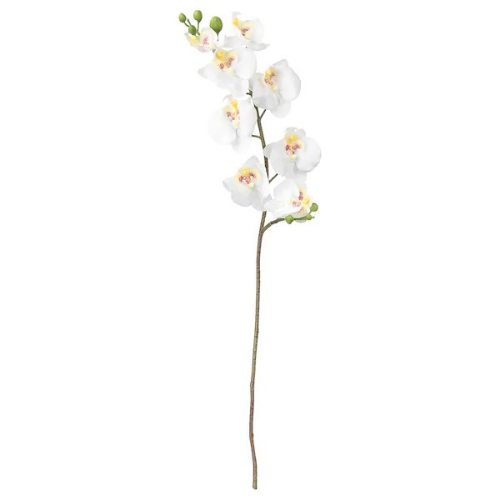 Branche d'orchidée blanc artificielle - L 50 cm