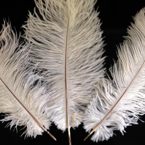 Plume d'autruche blanche - H +/- 45 cm