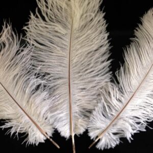 Plume d'autruche blanche - H +/- 35 cm