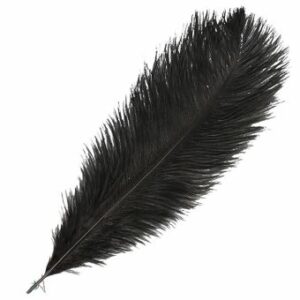 Plume d'autruche noire - H +/- 15 à 20 cm