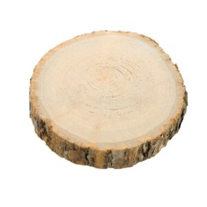 Rondin de bois - 30 cm