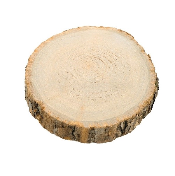 Rondin de bois - 30 cm